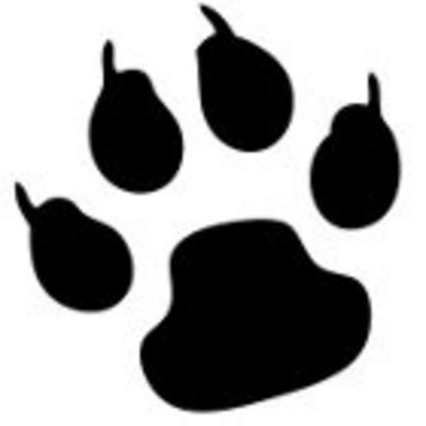 firma di pixel, mascotte di specialistaweb firma di pixel, mascotte di specialistaweb