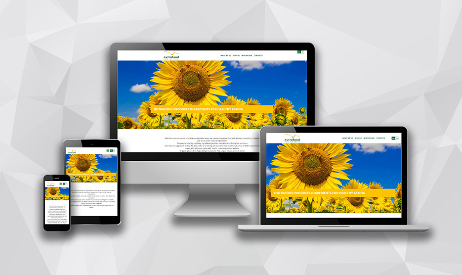 Esempio di sito responsivo